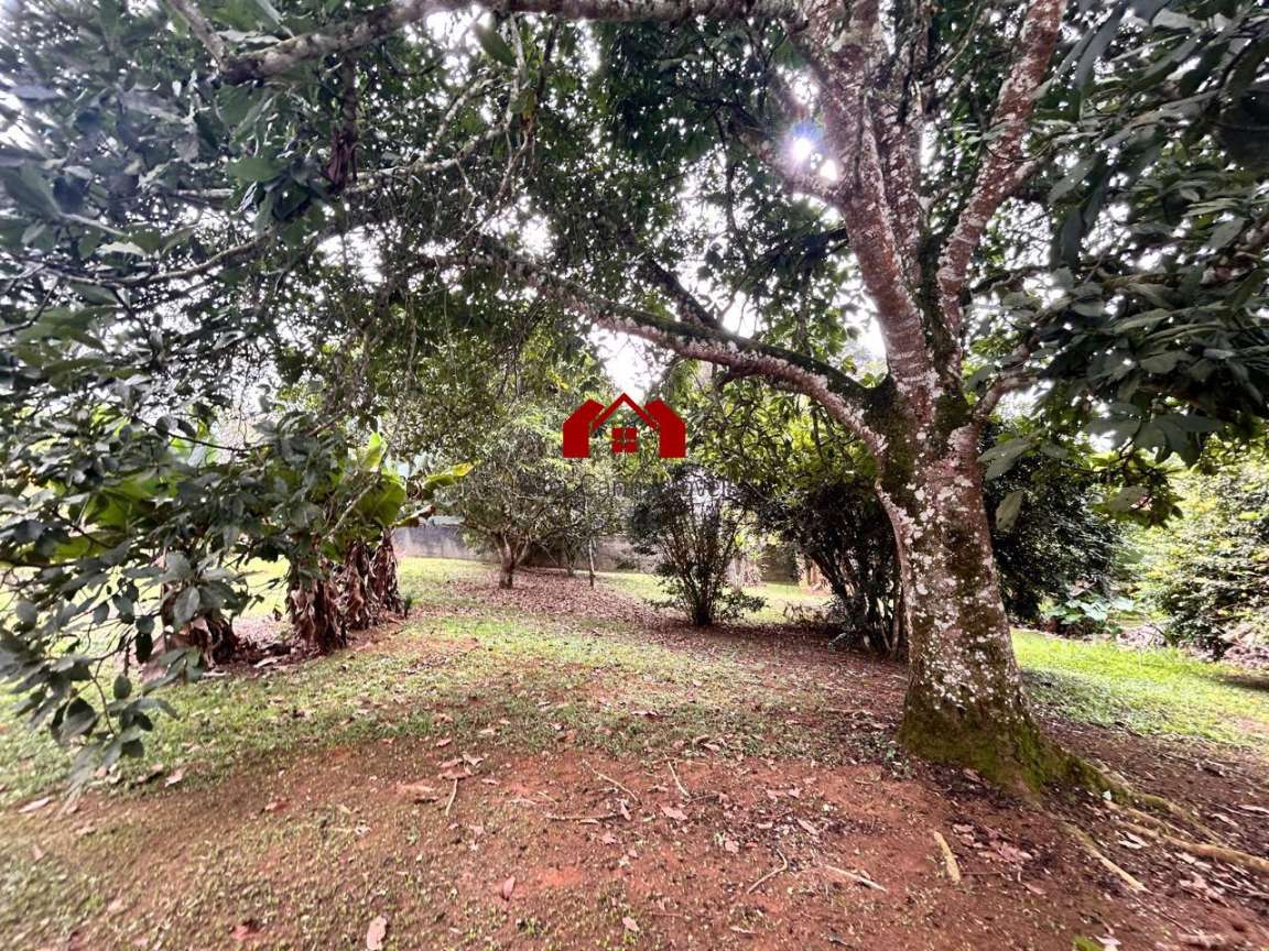 Chácara, 2 quartos, 4020 m² - Foto 17